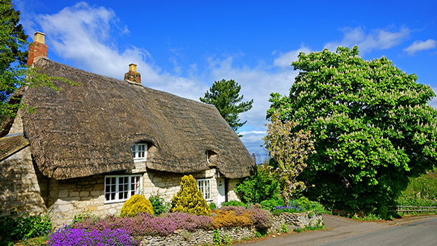 Thatched Cottage insurance